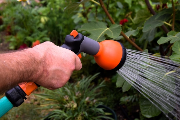 Foto gesneden hand van een man die planten in de tuin water geeft
