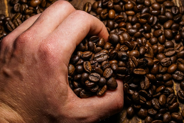Gesneden hand van een persoon die geroosterde koffiebonen vasthoudt