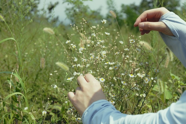 Foto gesneden hand van een vrouw die buiten planten aanraakt