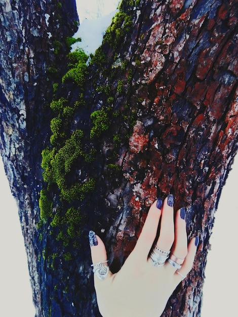 Foto gesneden hand van een vrouw die de boomstam aanraakt