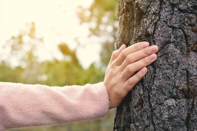 Gesneden hand van een vrouw die een boomstam aanraakt in het park