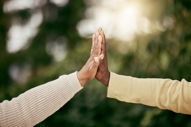 Gesneden hand van een vrouw die een plant vasthoudt