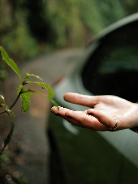 Foto gesneden hand van een vrouw die een plant vasthoudt