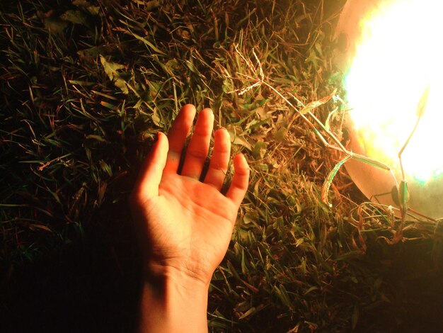 Gesneden hand van een vrouw op het gras door verlichte verlichtingsapparatuur