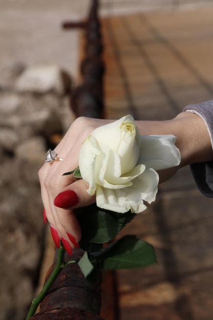 Gesneden hand van vrouw met witte roosbloem op roestige reling