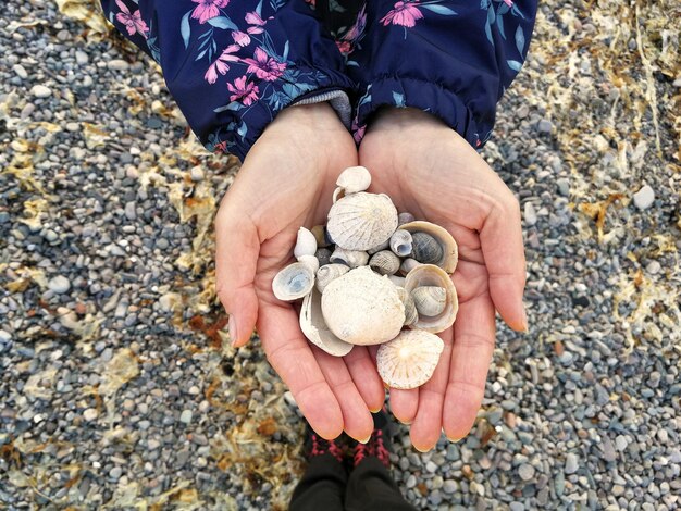 Gesneden handen van een vrouw die schelpen vasthoudt door een persoon die op kiezelstenen staat