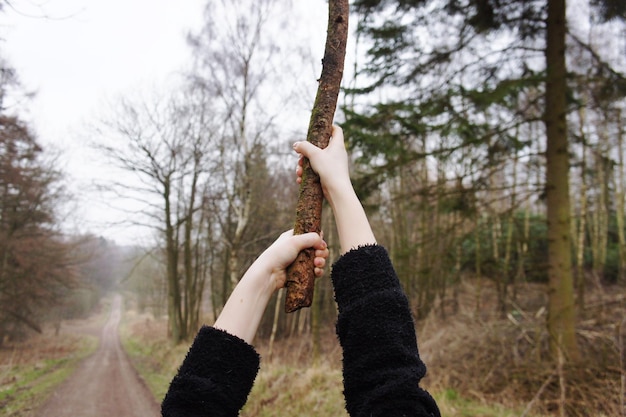 Foto gesneden handen van een vrouw met een tak in het bos