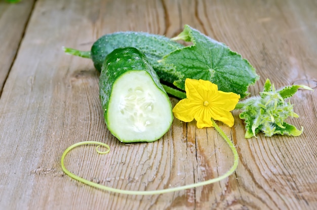 Gesneden komkommer met gele bloem en groen blad op een houten plankenachtergrond