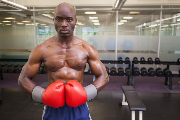 Gespierde bokser in healthclub