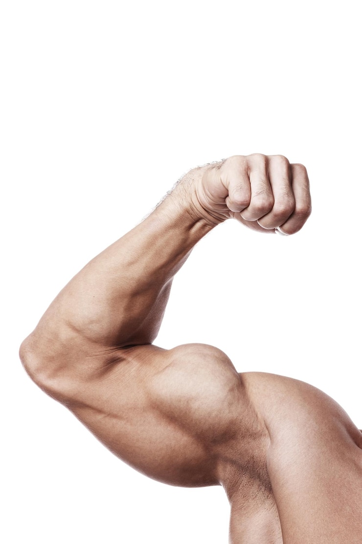 Foto gespierde mannelijke arm met biceps piek