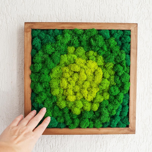 Gestabiliseerd veelkleurig IJslands mos in het interieur Paneel van groen mos aan de muur Wanddecoratie met mos Groene mostextuur in houten frame backdround Kopieer ruimte