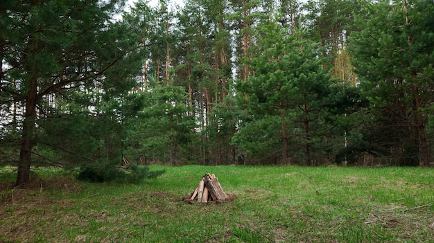 Gestapeld brandhout in de vorm van een hut voor het maken van een vuur op een grasveld in het bos.