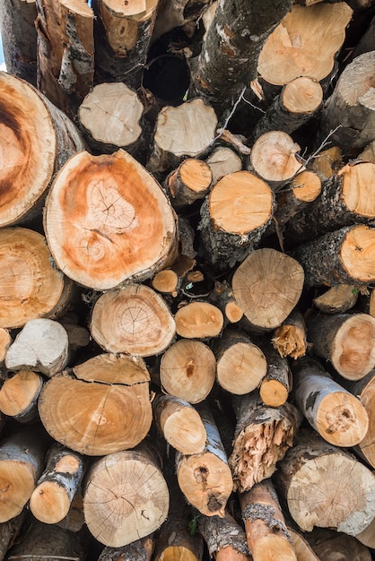 Gestapelde boomstammen textuur natuurlijke achtergrond brandhout gestapeld en voorbereid voor de winter