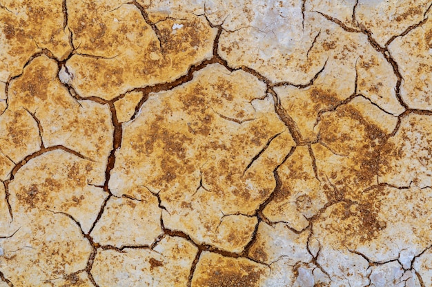 Gestorven en gebarsten grond