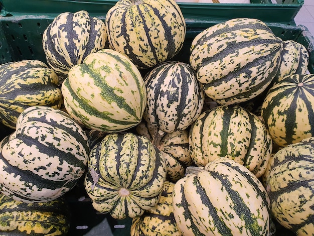 Gestreepte witte en groene cushaw squash in een winkel container decoratieve pompoenen achtergrond close-up s...