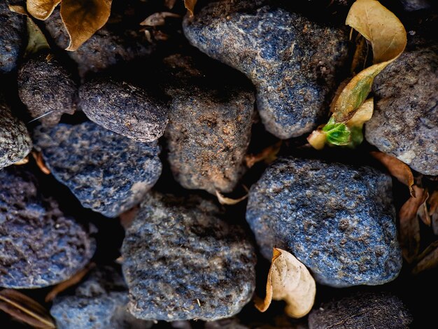 Photo get lost in the detailed and intricate background stone texture of this image