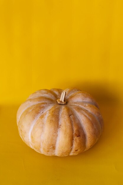 Photo get ready for the october event with our spooky pumpkin delights