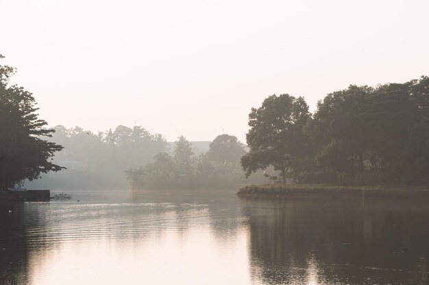 Get up in the morning and take some beautiful scene of lake surrounded by trees and little fog.