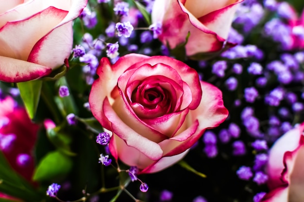 Getinte kaart met boeket rozen in zonnestralen. Rozen close-up, kleine bloemen van gipskruid