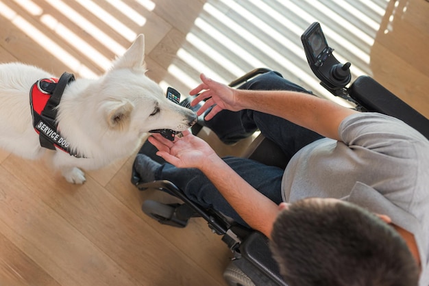 Getrainde diensthond die reageert op een bevel van zijn eigenaar man in een rolstoel die een gedropen hond ophaalt