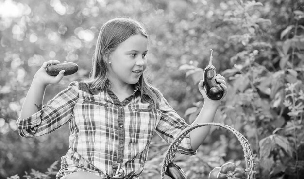 Foto ottenere cibo bambina verdura nel cestino solo naturale felice piccolo contadino raccolto autunnale raccolto vitamina primavera mercato giardino capretto in fattoria estiva cibo biologico cibo sano per bambini