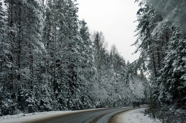 Gevaarlijk een natte weg in de winter door besneeuwd bos