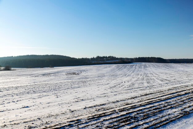 Gevaarlijke weg in de winter na sneeuwval