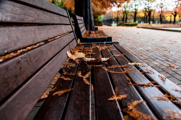 Foto gevallen bladeren op een bankje in het park in de herfst