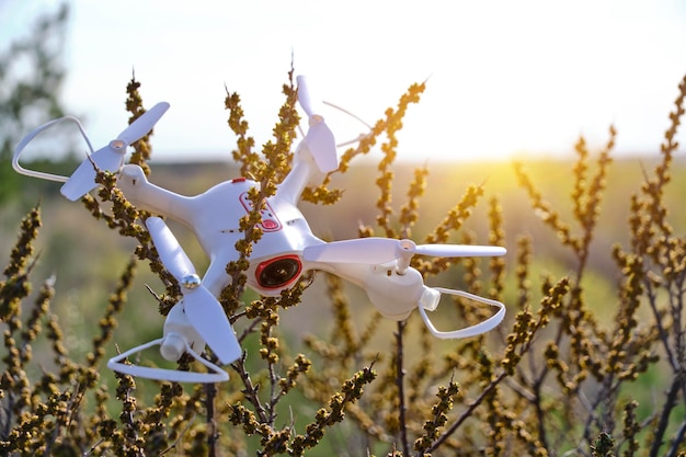 Gevallen quadcopter in struikgewas