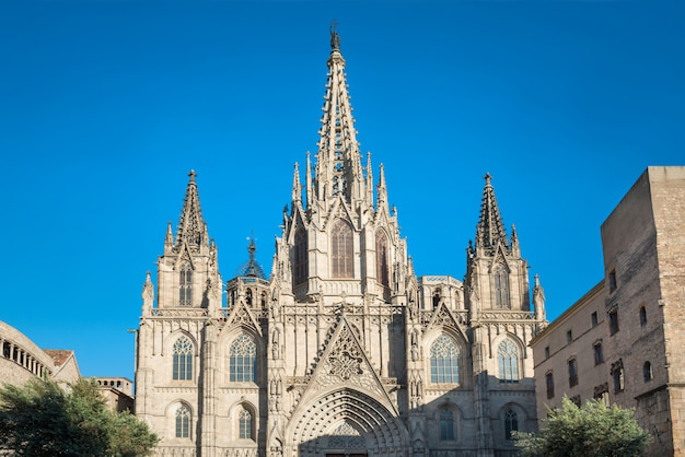 Gevel van gotische kathedraal de Barcelona in Spanje