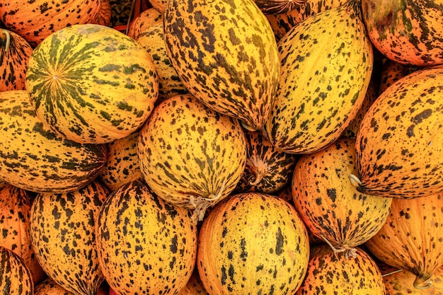 Gevlekte Turkse gele meloenen (Kavun) weergegeven op de voedselmarkt in Kyrenia, Noord-Cyprus