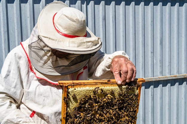 Gevleugelde bij vliegt langzaam naar de imker om nectar te verzamelen op een privé-bijenstal