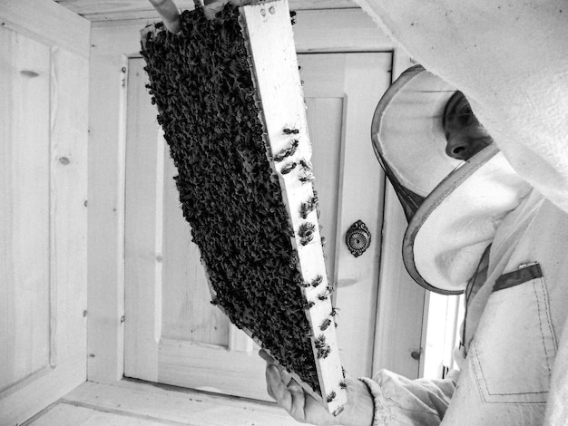 Gevleugelde bijen vliegen langzaam naar de bijenkorf om nectar te verzamelen