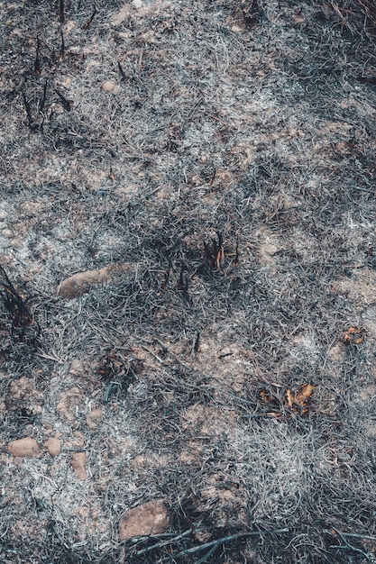 Foto gevolgen die vuur achterlaten na het verbranden van gras