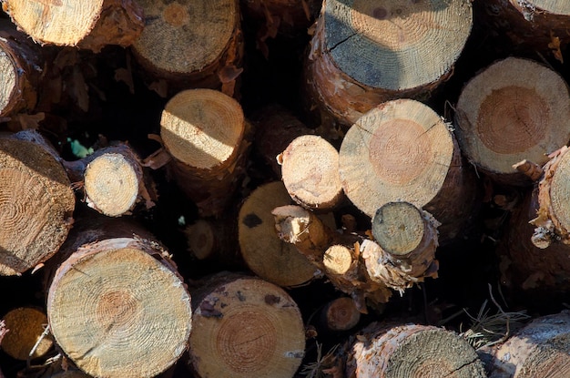 Gevouwen blokhut met houtstructuur van een boomachtergrond van bomen