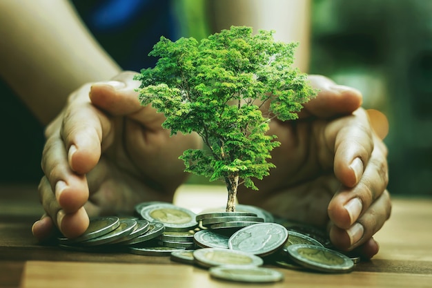 Gewassen planten op een stapel munten bij de hand Investeringsconcepten in het bedrijfsleven