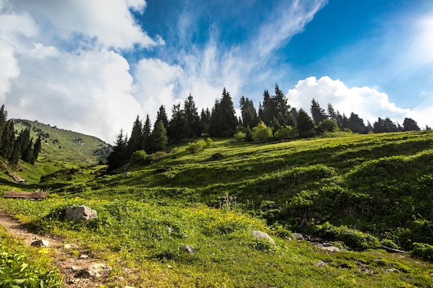 Geweldig berglandschap bij Almaty Het pad naar de top van 3 broers en Kumbel door Kok Zhailau met kopieerruimte