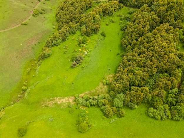 Geweldig berglandschap. Mooie groene velden. Luchtfoto