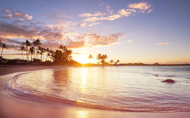 Geweldig hawaiiaans strand bij fantastische zonsondergang.