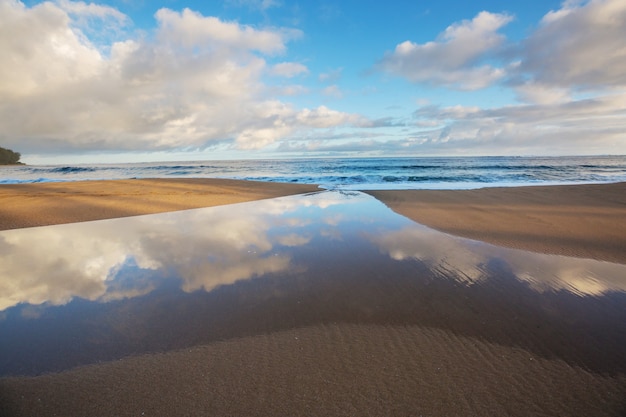 Geweldig Hawaiiaans strand