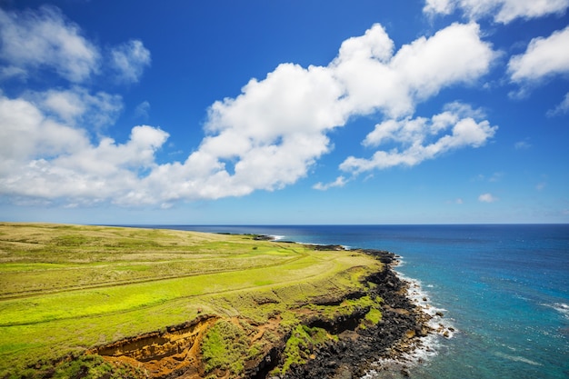 Foto geweldig hawaiiaans strand