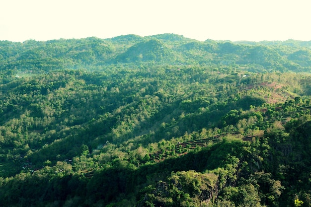 Geweldig landschap van groene bosheuvels in Indonesië