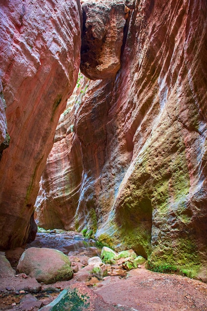 Geweldig natuurlijk landschap in de Avakas-canyon in het nationale wildpark van Cyprus met kliffen, bergen, rotsen en bomen Diepe natuurlijke vallei om te ontdekken voor toeristen en reizigers