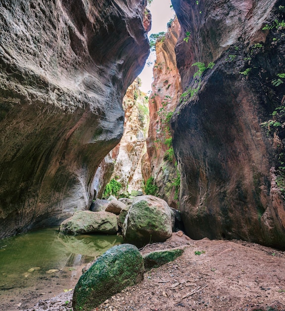 Geweldig natuurlijk landschap in de Avakas-canyon in het nationale wildpark van Cyprus met kliffen, bergen, rotsen en bomen Diepe natuurlijke vallei om te ontdekken voor toeristen en reizigers