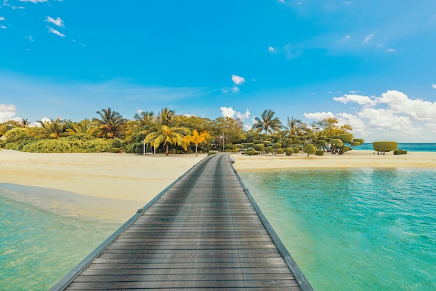 Geweldig panorama op de Malediven. Luxe resort villa's pier zeegezicht met palmbomen, witte zand zee baai