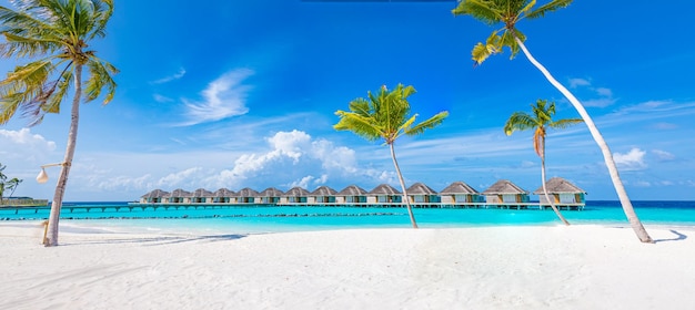 Geweldig tropisch eiland strand Exotische vakantie landschap water bungalows villa's Palm zee zand lucht