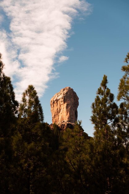 Geweldig uitzicht op Roque Nublo in Gran Canaria Canarische eilanden