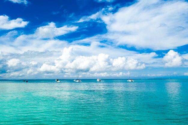 Geweldig uitzicht op vogelogen in Zanzibar