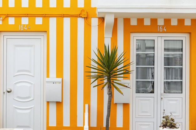 Geweldig vintage gekleurd gestreept geel huis met witte deurbrievenbus en palmboom op terras Creatief ontwerp en architectuur