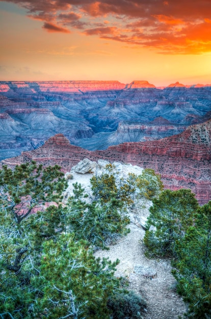 Geweldig zonsopgangbeeld van de Grand Canyon